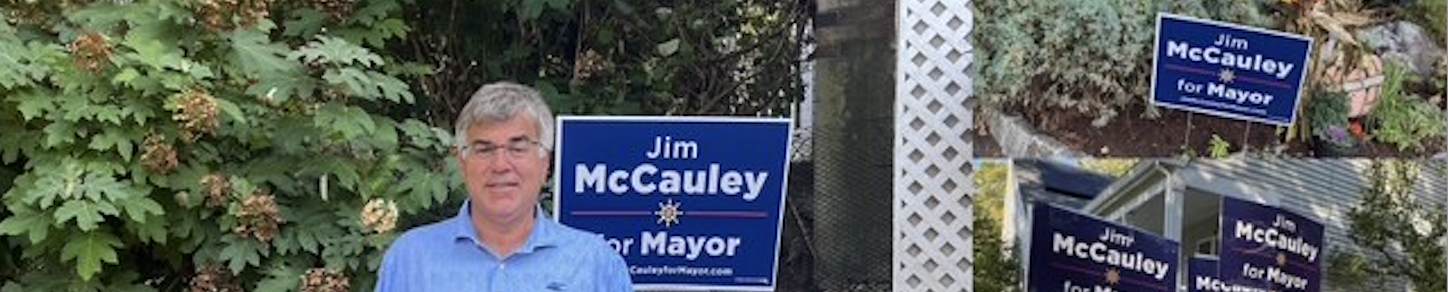 I Was a Library Archives Volunteer. I’m Voting for McCauley