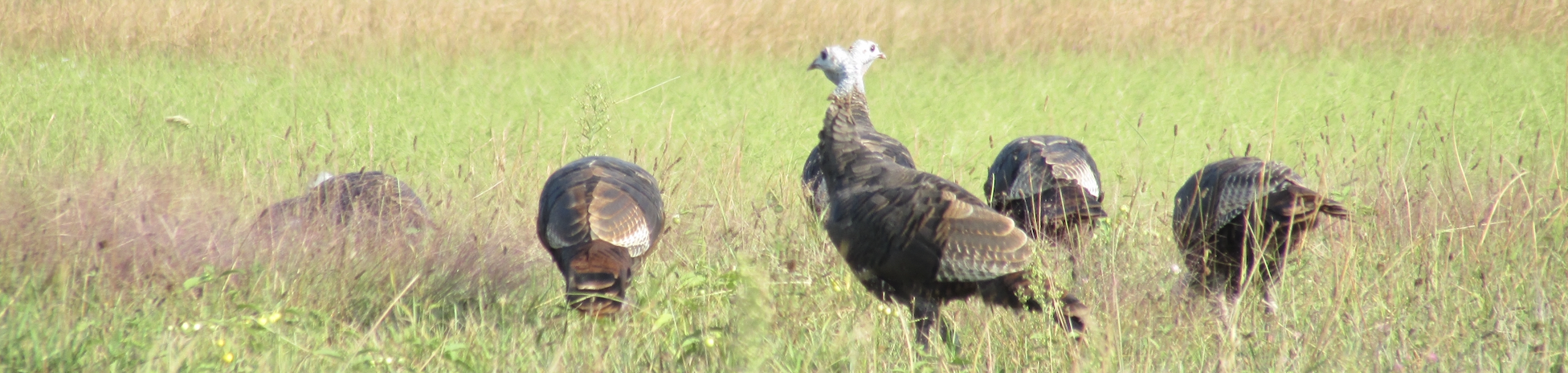This Thanksgiving, Don’t Forget Those Who Might Be Alone