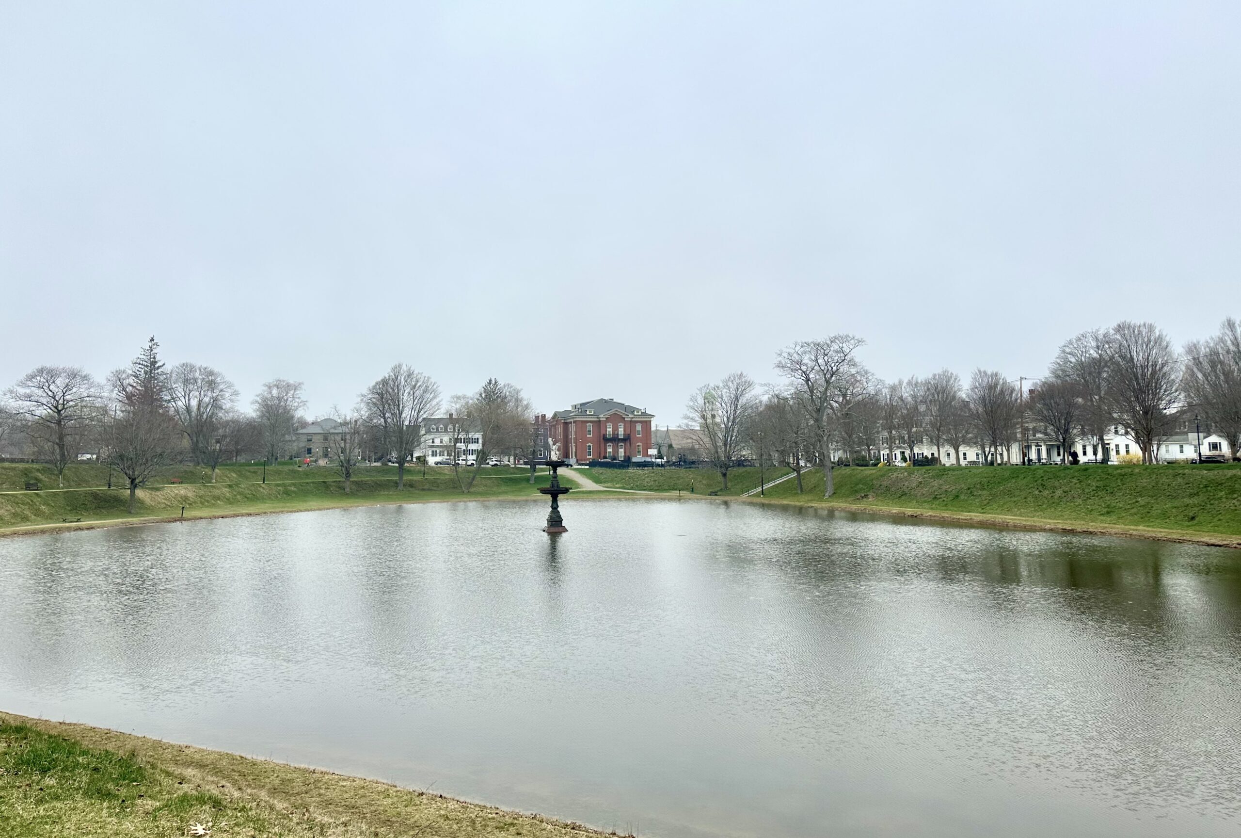 Frog Pond or Drinking Water: What’s a Bigger Priority?