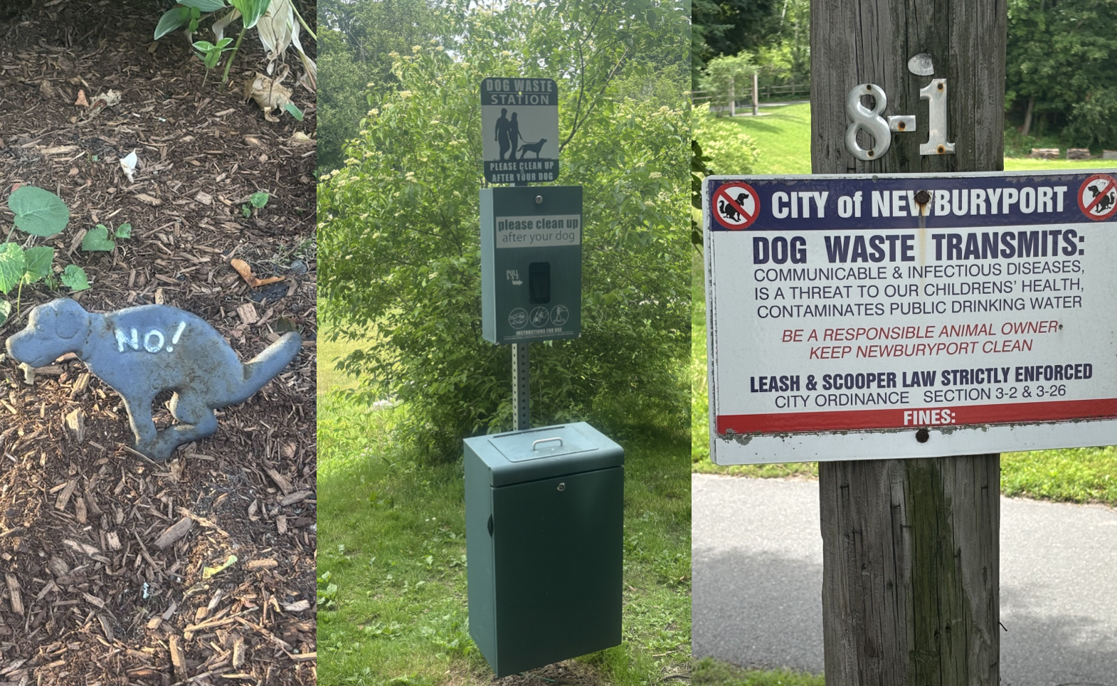 Why Our City Needs More Drinking Fountains and Poop Stations For Dogs